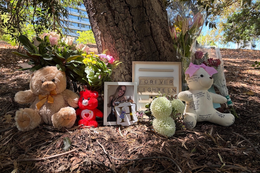 People pay tribute to Hailee by placing flowers and toys under a tree.