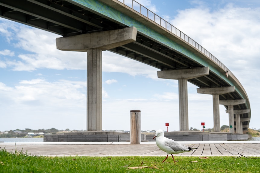 A view of a large road bridge from beneath.