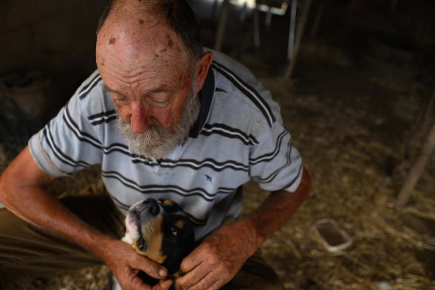 Mervyn pats Brutus the dog while the he looks lovingly up at his owner. 