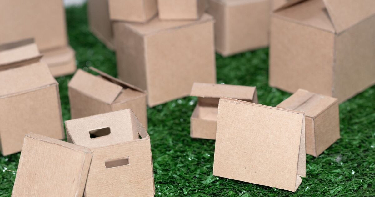 Stop binning cardboard because it has clever garden use