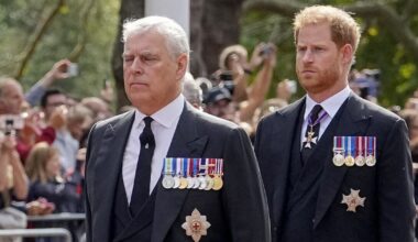 Prince Harry’s telling comment about disgraced Andrew goes viral | Royal | News