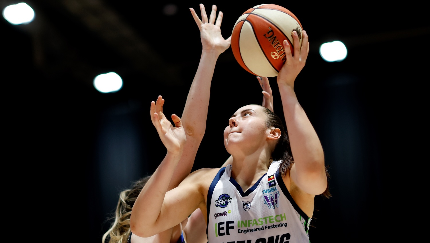 Mackenzie is right at 'Holmes' in Geelong Venom role