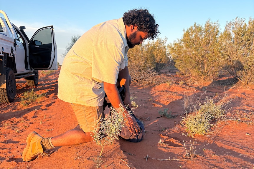 A man crouching down in red dirt.