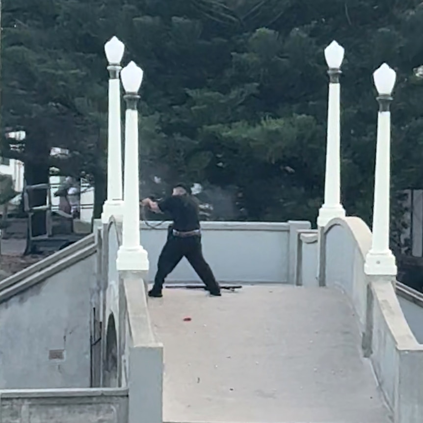 A still from a video of the Bondi terror attack. A man stands on a footbridge dressed in black and pointing a long gun.