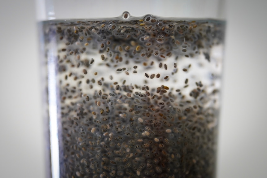 upclose picture of chia seeds in a class with water