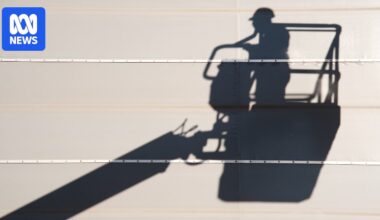 Workers in cherry picker help police catch man accused of lewd acts in Goulburn