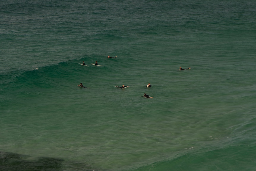 surfers in the ocean