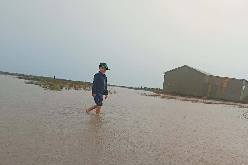 A young boy in a hat stands in ankle deep water with a dog in the corner and a property in the background