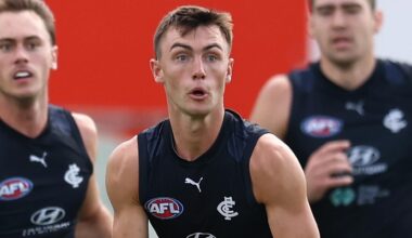 Brisbane Lions vs Carlton Blues, match simulations scores, updates, stats, video, how to watch