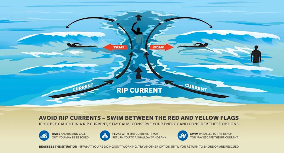 Graphic showing how to spot rip currents and avoid getting swept up in one.