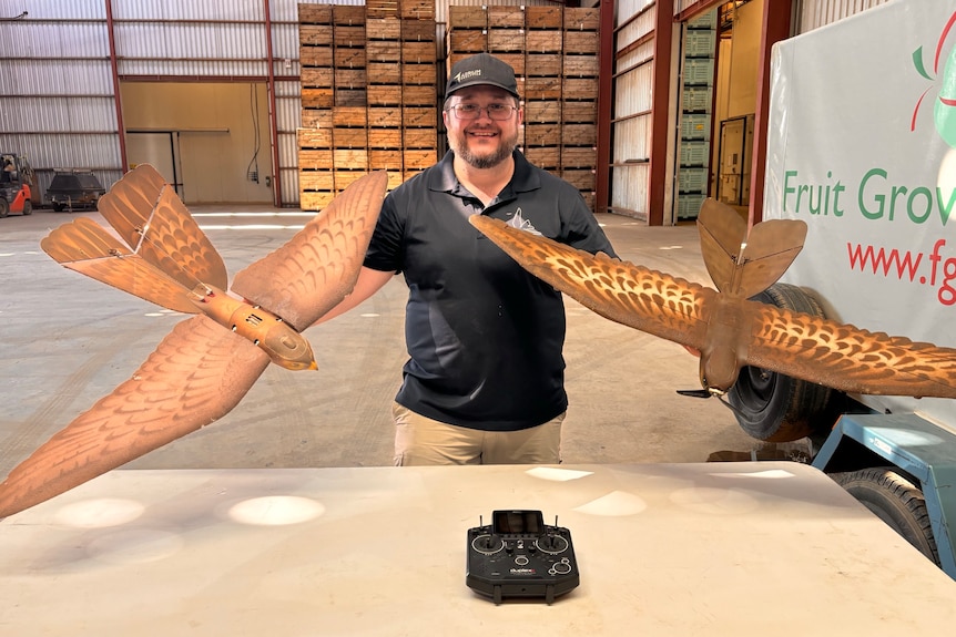 A man holding two fake birds inside a large shed.