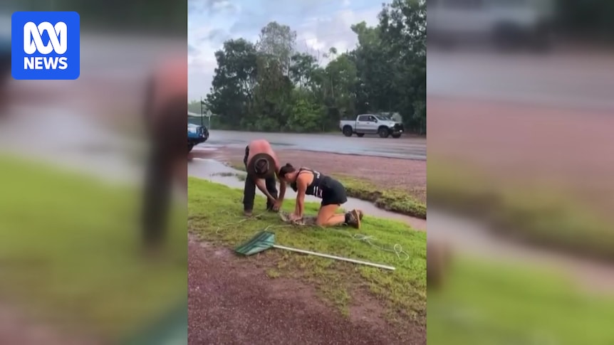 Northern Territory mum wrangles Humpty Doo crocodile near Arnhem Highway