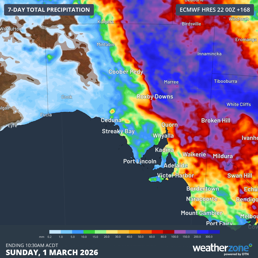 Forecast 7-day rainfall to 10:30pm CDT Sunday 1 March according to ECMWF model.