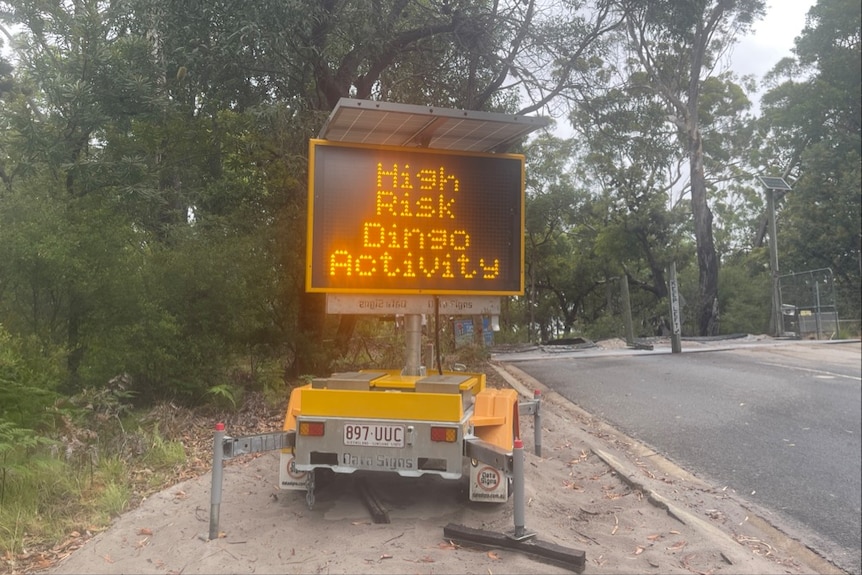 A road side sign says "high risk dingo activity'.