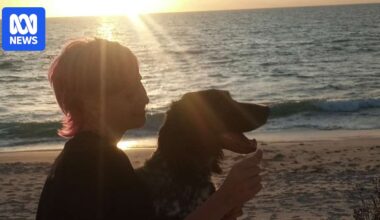 Woman who fatally hit and drove away from Alexx Wright, 19, sentenced to three years' jail