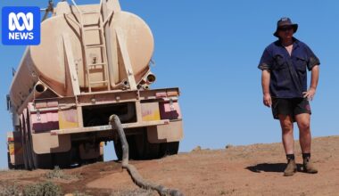 Feed and water supplies dry up in NSW as drought tightens grip