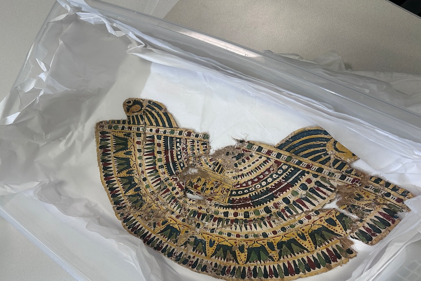 Ancient egyptian artefact in a case