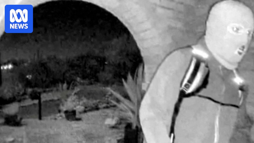 How the search for Nancy Guthrie played out as police detain a person for questioning