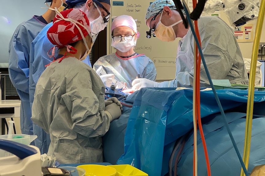 doctors in operating theatre