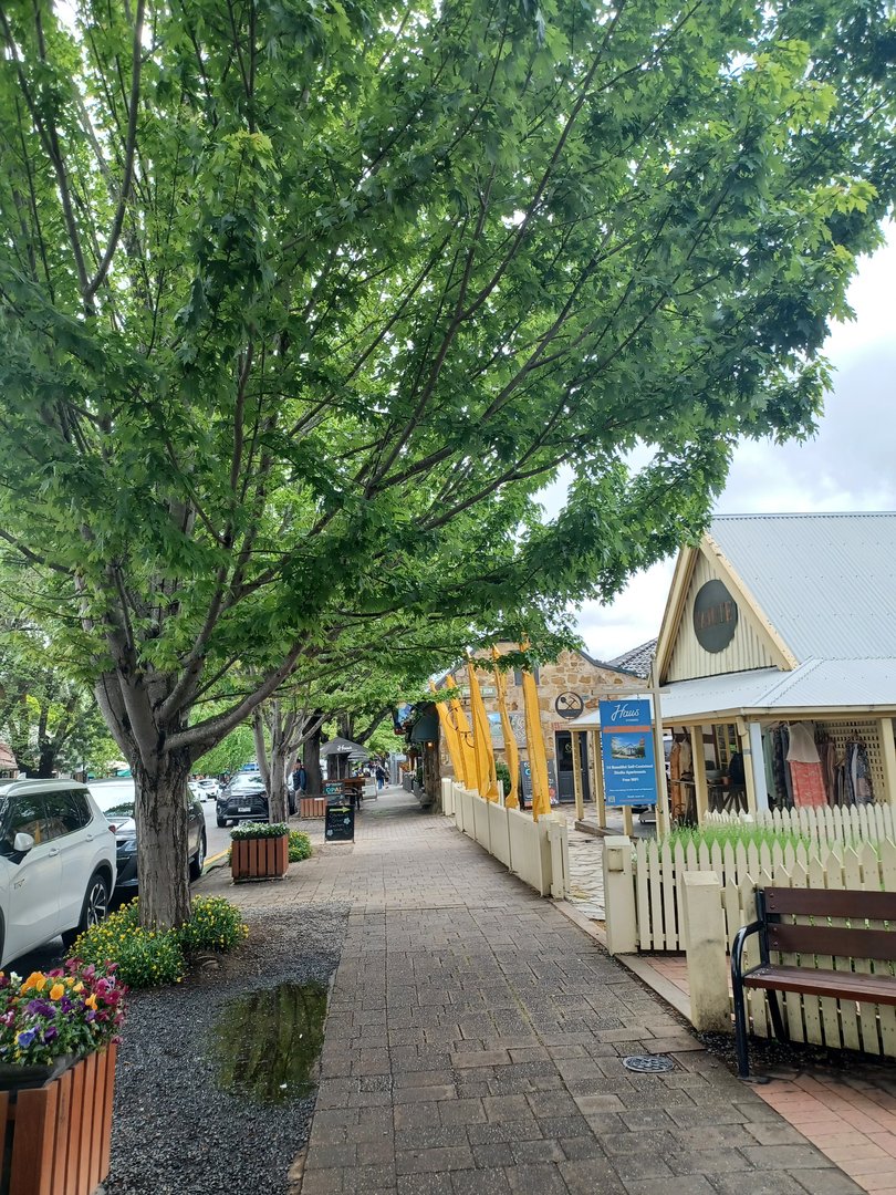 Historic Hahndorf's tree-lined main street.