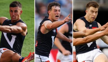 Victoria player ratings from State of Origin match vs Western Australia, every Vic star rated, analysis, best and worst players, stats