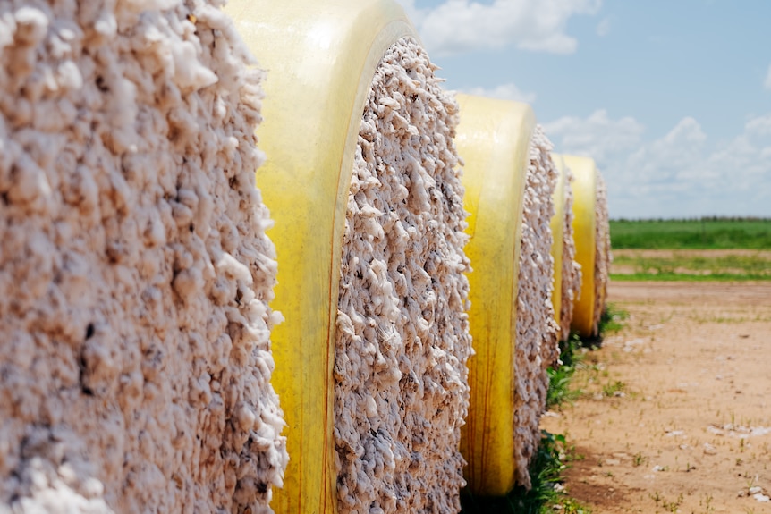 Cotton baled in yellow plastic. 