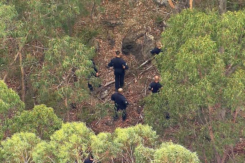 nsw police officer at glenorie scouring bushes