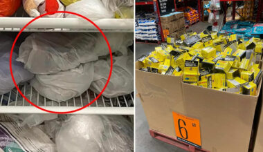 Aussies called to action as controversial Bunnings, Coles, Woolworths items face being pulled