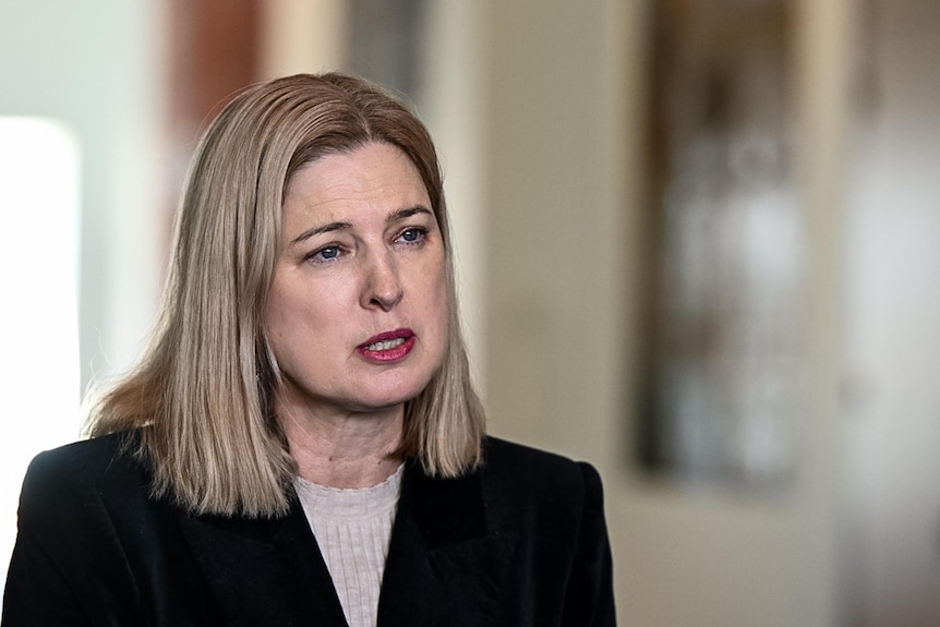 Collins speaks inside the mural hall of parliament house.