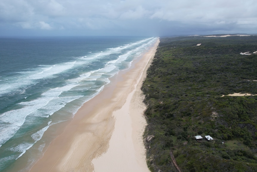 An aerial image of the ocean, white sandy beach, and green forest.