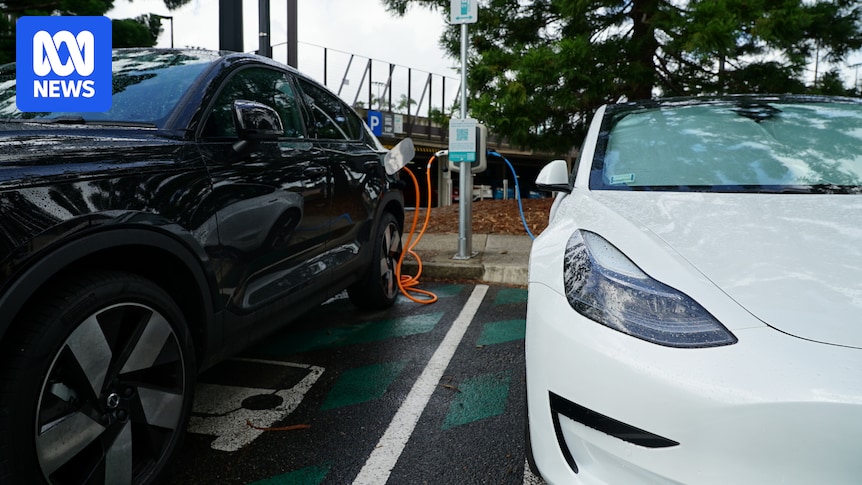 China bans hidden car door handles amid safety concerns