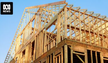 Forestry industry sounds alarm over 'cheap' timber imports landing in Australia and threatening jobs