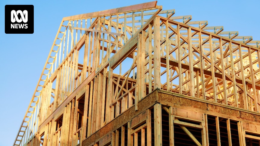 Forestry industry sounds alarm over 'cheap' timber imports landing in Australia and threatening jobs