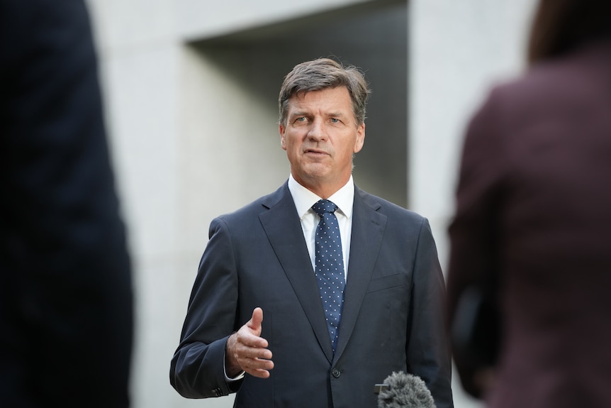 Angus Taylor in a grey suit and blue tie talks to a crowd of obscured people, gesturing with his right hand as if lecturing.