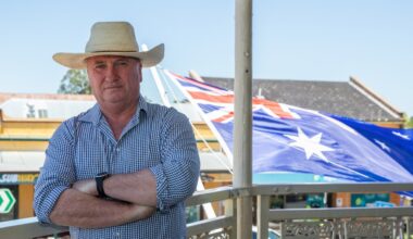Barnaby Joyce declares One Nation will cut spending to prevent Australia going 'broke', hints at plan for flat income tax rate
