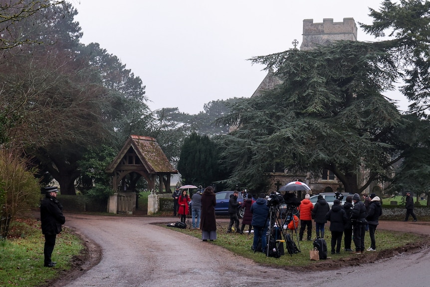A group of people stand on a grassed area in front of a large tree with TV cameras and microphones