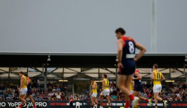 Dees-Tigers practice match abandoned after lightning delay strikes twice
