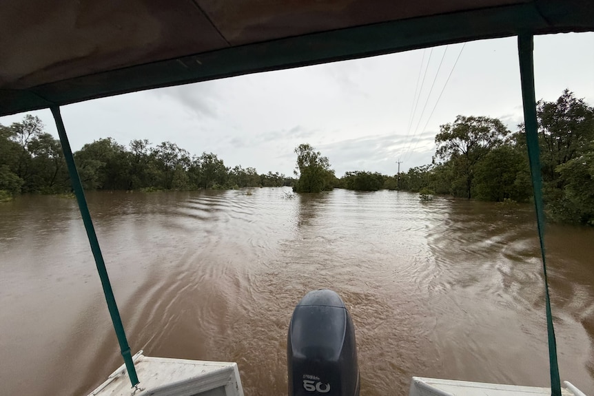 a view out the back of a boat, showing a flooded river system. 