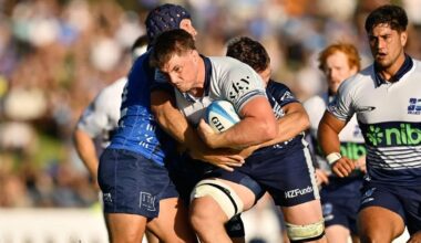 BLUES BOUNCE BACK TO DEFEAT FORCE — Blues Rugby