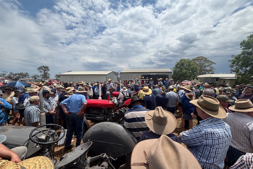 A crowd of men and woman, a lot in Akubras gather under the sky, a few tin sheds in the background.