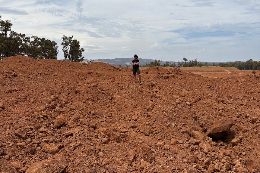 A person stands amongst cleared terrain
