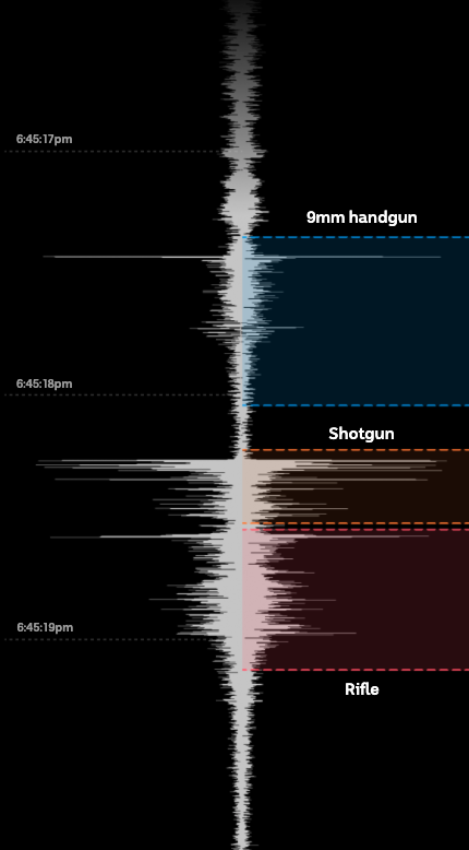 A snippet of the gunshot audio signatures analysed by experts
