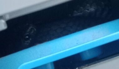 Tiger snake hiding inside child's car seat a first for Tasmanian snake handler