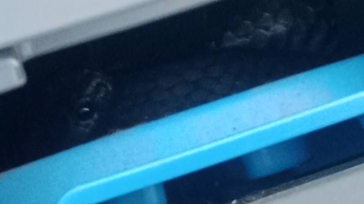 Tiger snake hiding inside child's car seat a first for Tasmanian snake handler