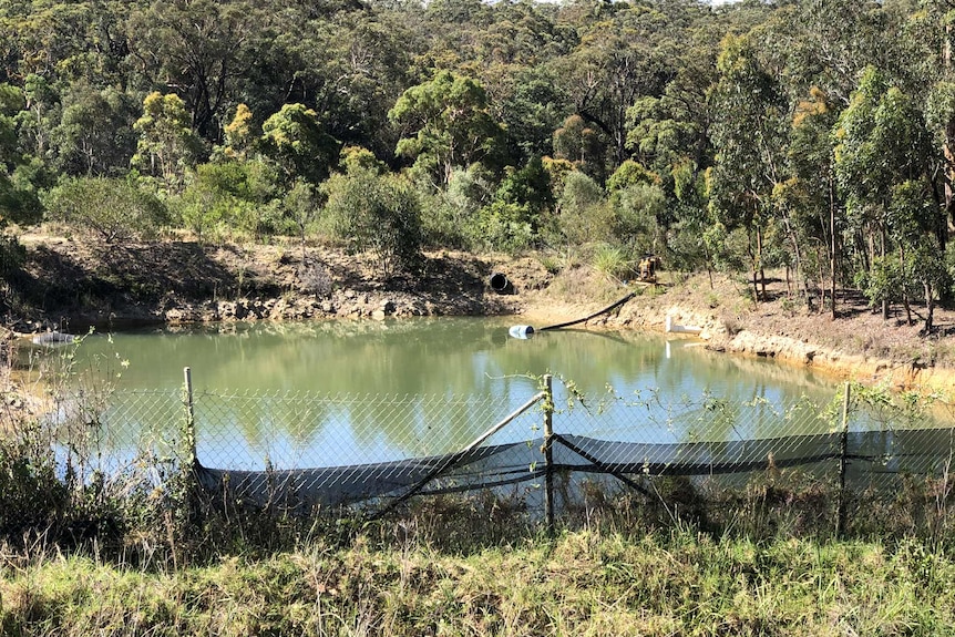 One of the Mangrove Mountain Landfill's unlined leachate dams