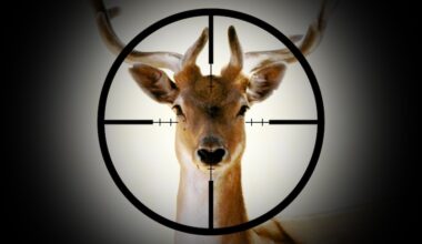 Is it time Tassie declared wild deer a pest?