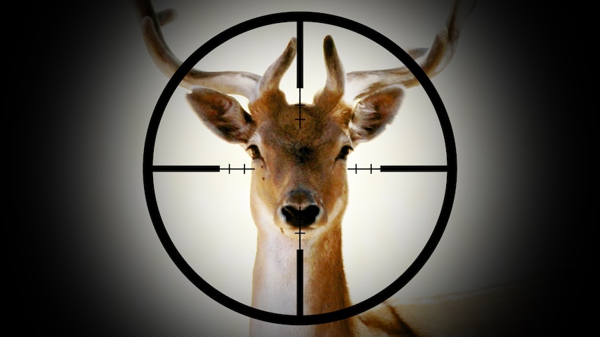 Is it time Tassie declared wild deer a pest?