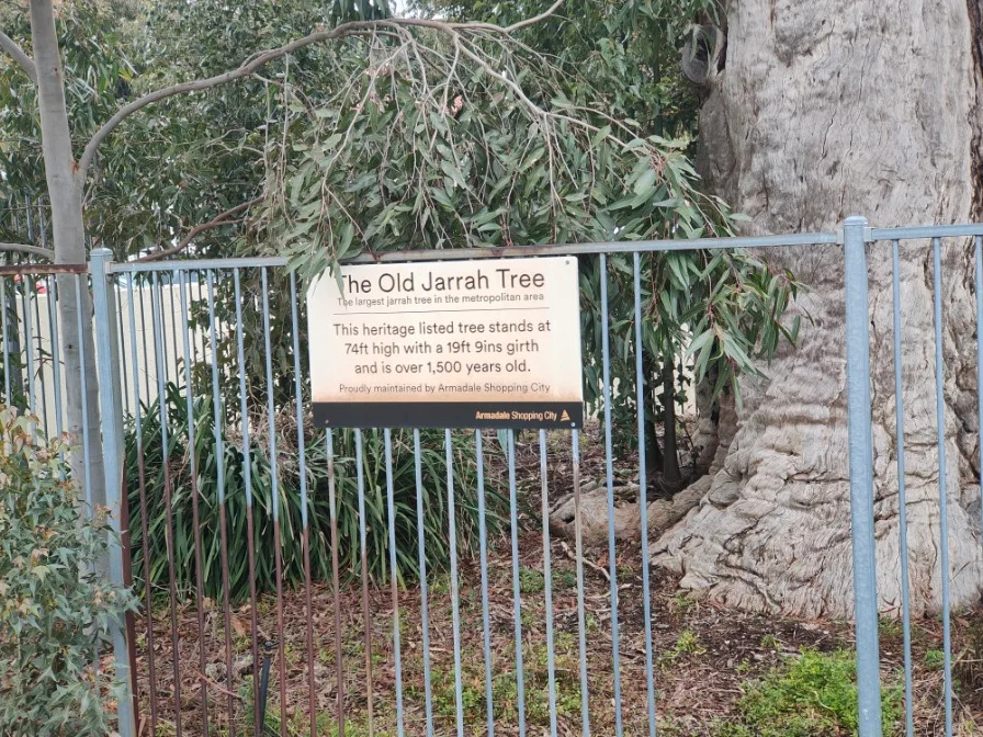 A sign attached to a fence in front of the Old Jarrah Tree at Armadale.