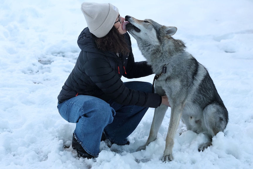 Nazgul the dog with his owner Alice Varesco.