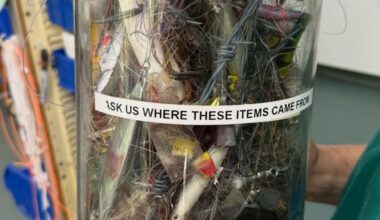 Label on jar at Currumbin Wildlife Hospital reveals ‘invisible’ threat to local animals